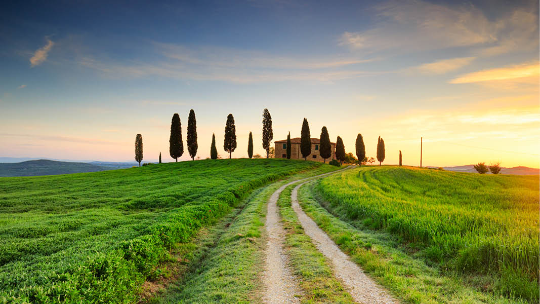 Stilla landsvg och cypresser i solnedgngen i Toscana